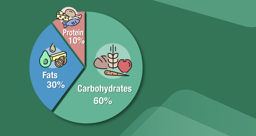 276. How to Navigate the Catalytic Diet